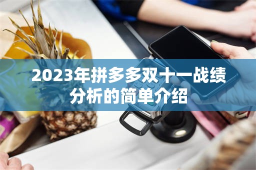 2023年拼多多双十一战绩分析的简单介绍