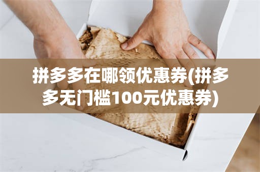 拼多多在哪领优惠券(拼多多无门槛100元优惠券)