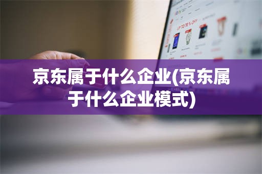 京东属于什么企业(京东属于什么企业模式)