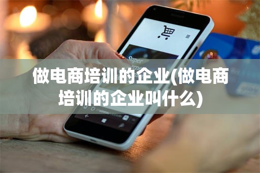 做电商培训的企业(做电商培训的企业叫什么)