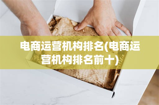 电商运营机构排名(电商运营机构排名前十)