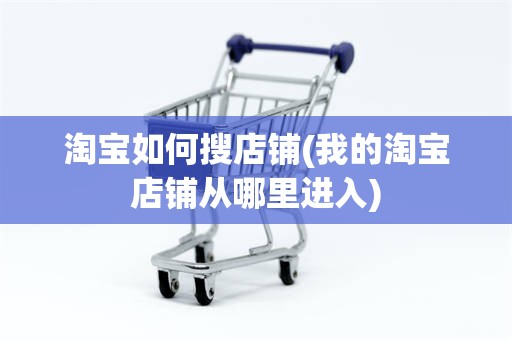 淘宝如何搜店铺(我的淘宝店铺从哪里进入)