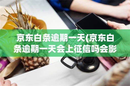 京东白条逾期一天(京东白条逾期一天会上征信吗会影响买房吗)