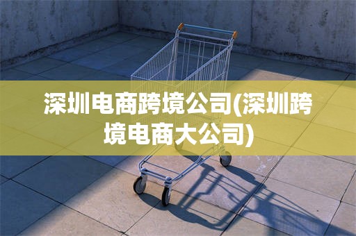 深圳电商跨境公司(深圳跨境电商大公司)