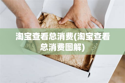 淘宝查看总消费(淘宝查看总消费图解)