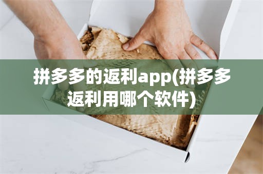 拼多多的返利app(拼多多返利用哪个软件)